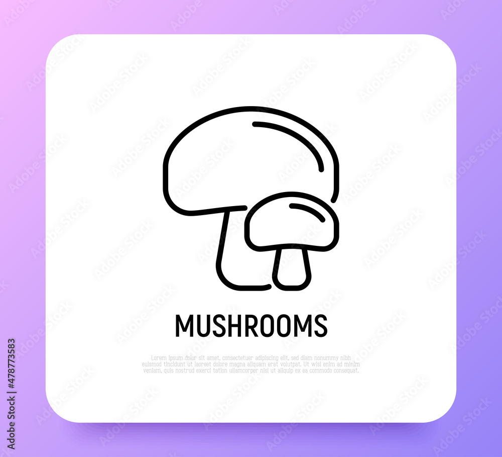 Mushrooms thin line icon. Champignon. Healthy organic food. Vector illustration. Mushrooms thin line icon. Champignon. Healthy organic food. Vector illustration.
