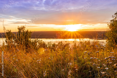 Amazing view at beautiful sunset or sunrise on a shiny lake from hill with green bushes  golden sun rays  calm water  deep blue cloudy sky and forest on a background