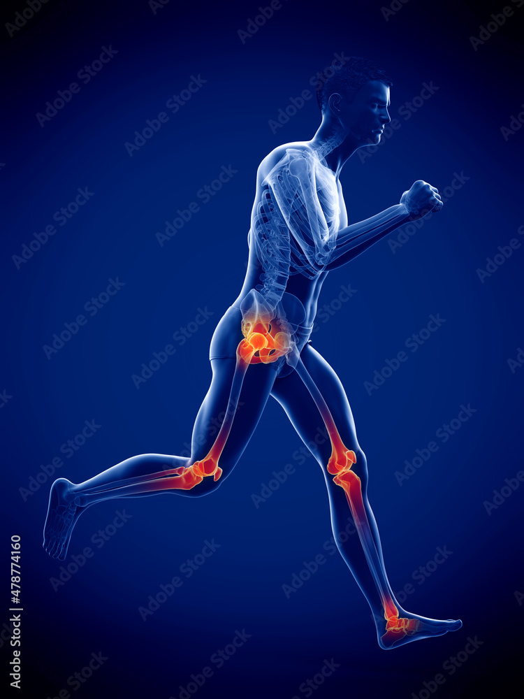 Obraz premium 3d rendered medically accurate illustration of a runners painful joints
