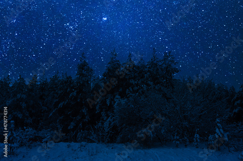Snowy night forest and many stars in sky