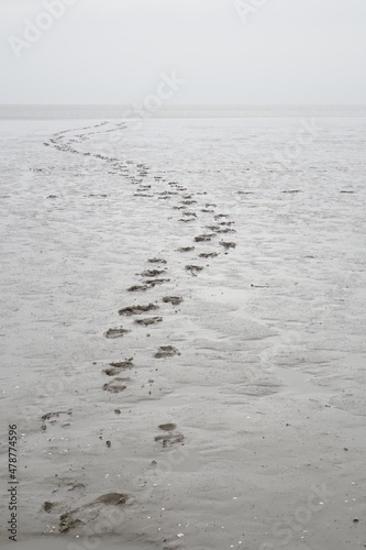 Hiker s footprints in the tidal flat on a grey and stormy day  vertical image   Burhave  Lower Saxony  Germany