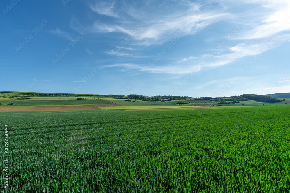 Landschaft mit Ackerbau