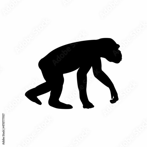 monkey vector icon, monkey silhouette design