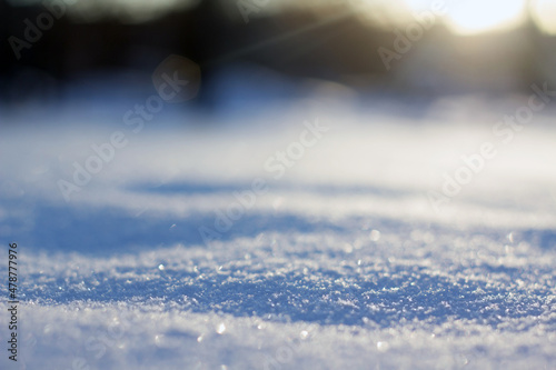 sparkling snow in the winter sun. background with a field of focus in front