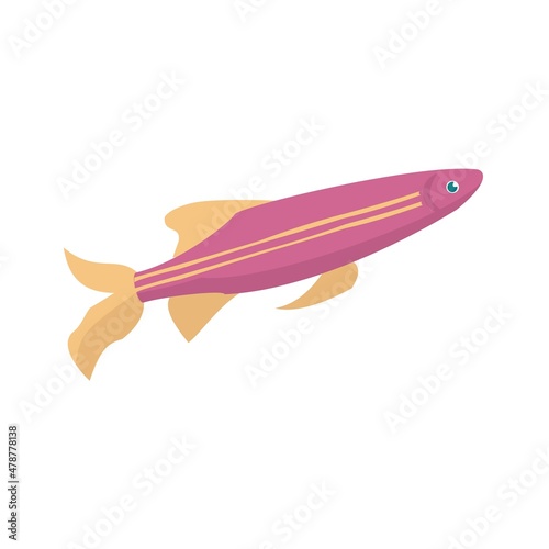 Aquarium fish pink danio isolated on white background. Cartoon vector illustration