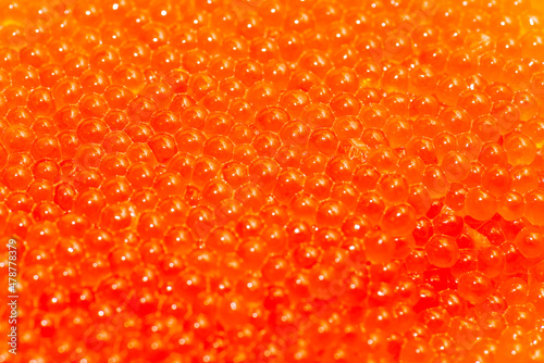 red caviar, macro photography, focus on the center. Selective focus. Close up background