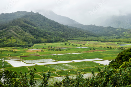 View of Hanalei valley with fields, clouds, and mountains, Kauai, Hawaii, USA