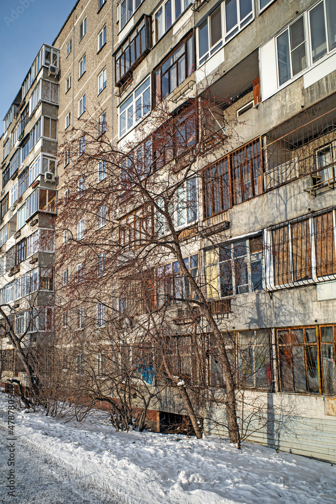 An old apple tree on the background of a multi-storey residential building on a winter day