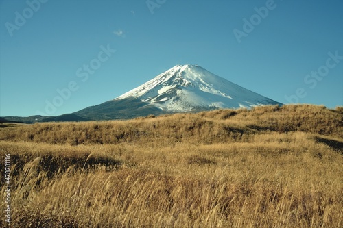 富士山のすそ野に広がる草原 