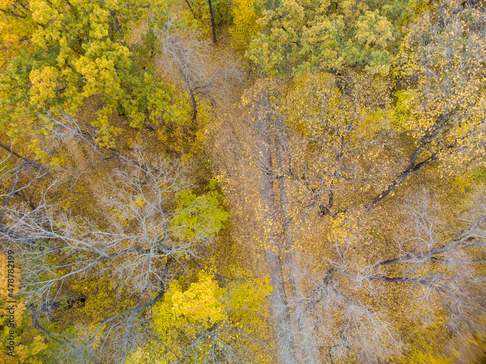 Railway track line in vivid yellow autumn forest. Aerial treetop view on colorful Children's Southern Railway in Kharkiv, travel Ukraine