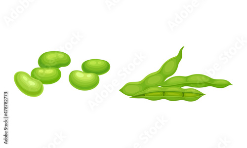 Soy Grain Legume or Pulse Crop with Green Pod and Beans Vector Set
