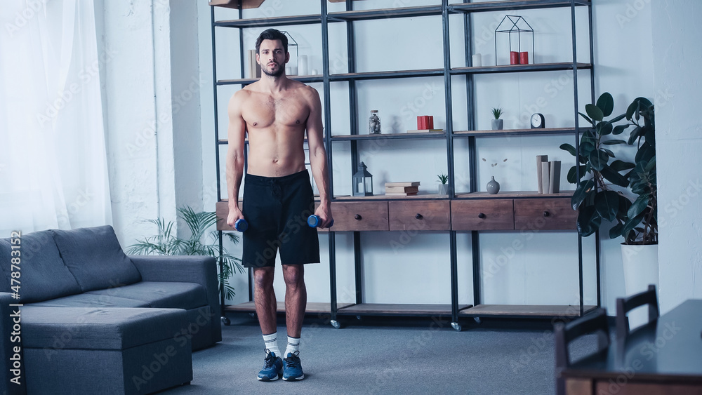 young bearded sportsman training with dumbbells at home young bearded sportsman training with dumbbells at home