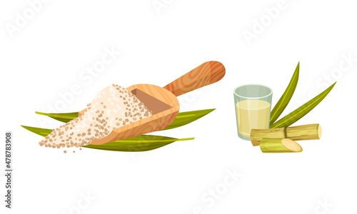 Sugarcane Fibrous Stalk and Extract in Glass Vector Set