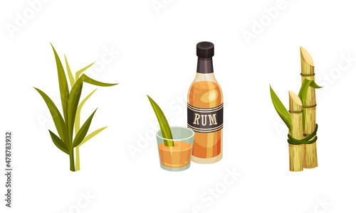 Sugarcane Fibrous Stalk and Rum in Glass Bottle Vector Set