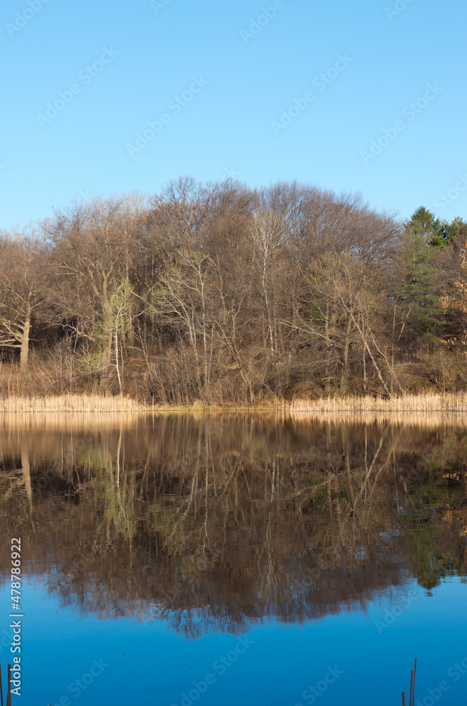 marthaler park pond and forest reflections marthaler park pond and forest reflections