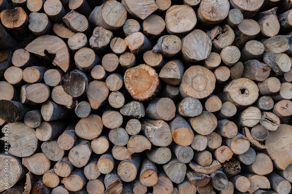 A pile of firewood drying before winter A pile of firewood drying before winter