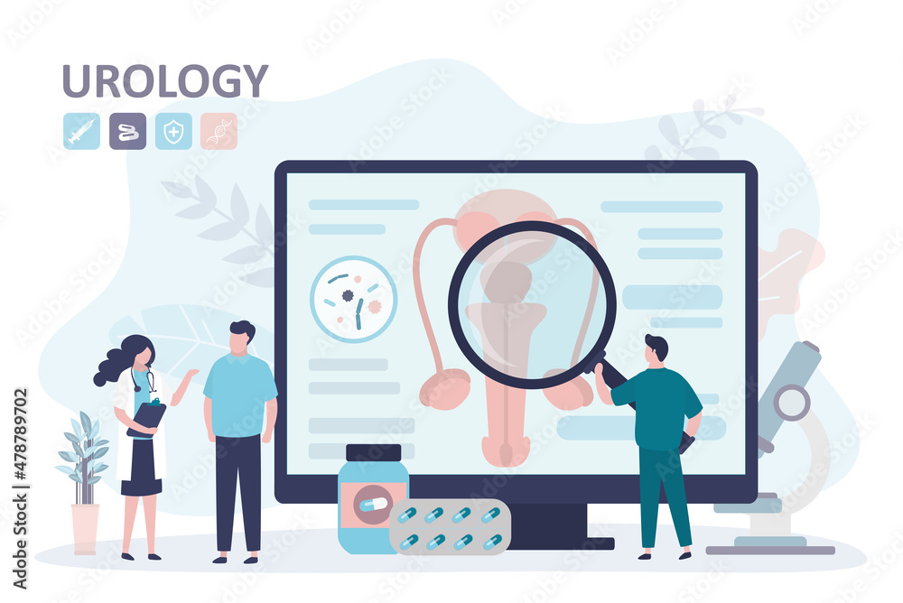 Urologist advises patient on treatment of prostatitis. Doctor examines male reproductive system Urologist advises patient on treatment of prostatitis. Doctor examines male reproductive system
