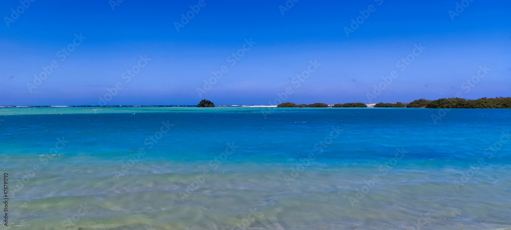 Red Sea in Wadi el Gemal National Park. Blue sky and clear water. Egypt	