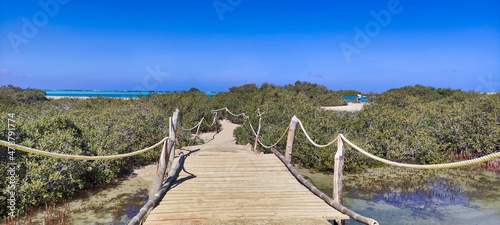 Wooden bridge to mangrove trees in Wadi el Gemal National Park. Blue sky and sea in the distance. Egypt