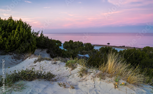 Fototapeta Naklejka Na Ścianę i Meble -  Panoramic view of the sea of Capo Comino, east coast of Sardinia