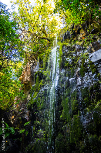 Madeira - Levada dos Cedros