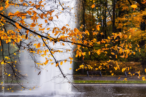 Fototapeta Naklejka Na Ścianę i Meble -  Fontanna w Parku Planty - Białystok, Podlasie, Polska