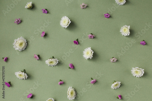 Daisy pattern. Flat lay spring and summer chamomile flowers on a green background.