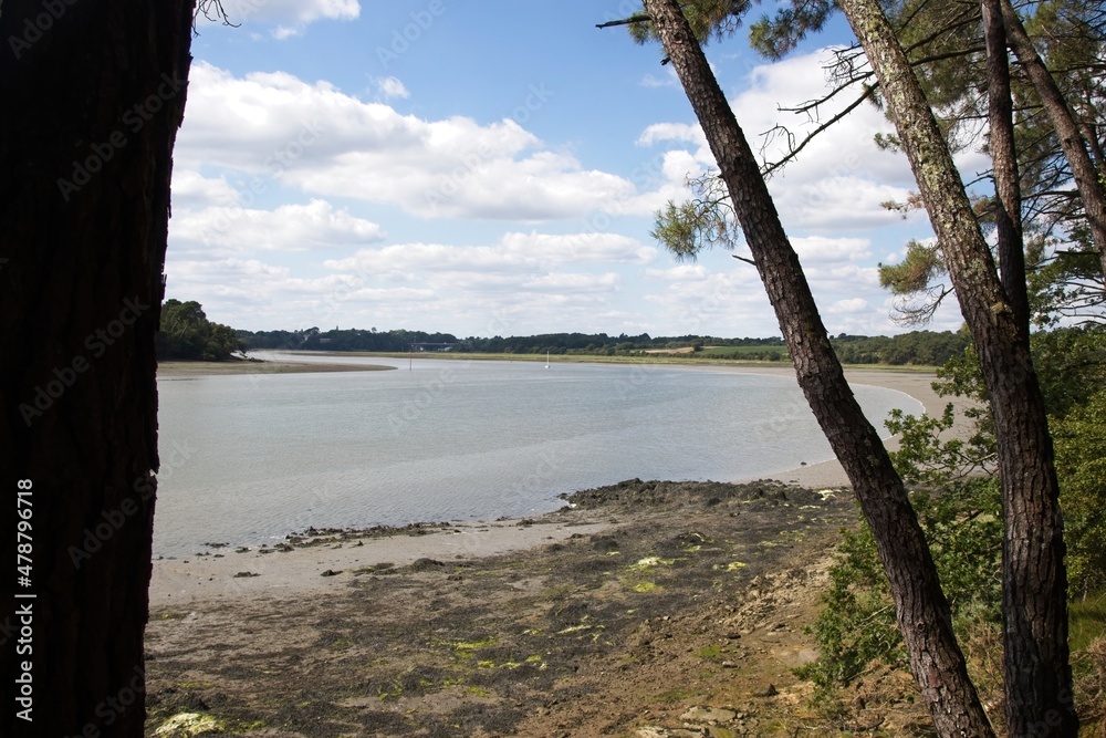 the river in the summer