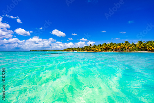 Fototapeta Naklejka Na Ścianę i Meble -  Palm Ocean Sky
