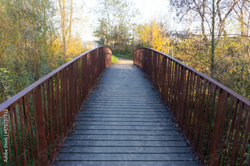 Passerelle sur le Morgon