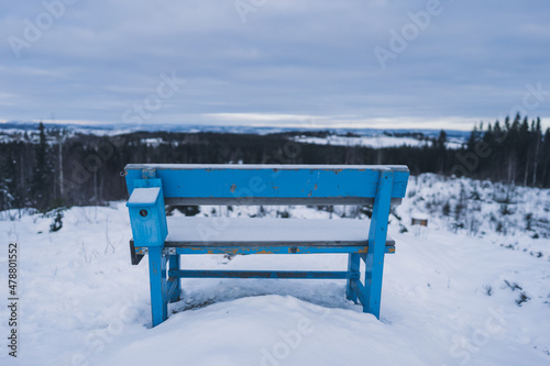 the blue bench in the snow