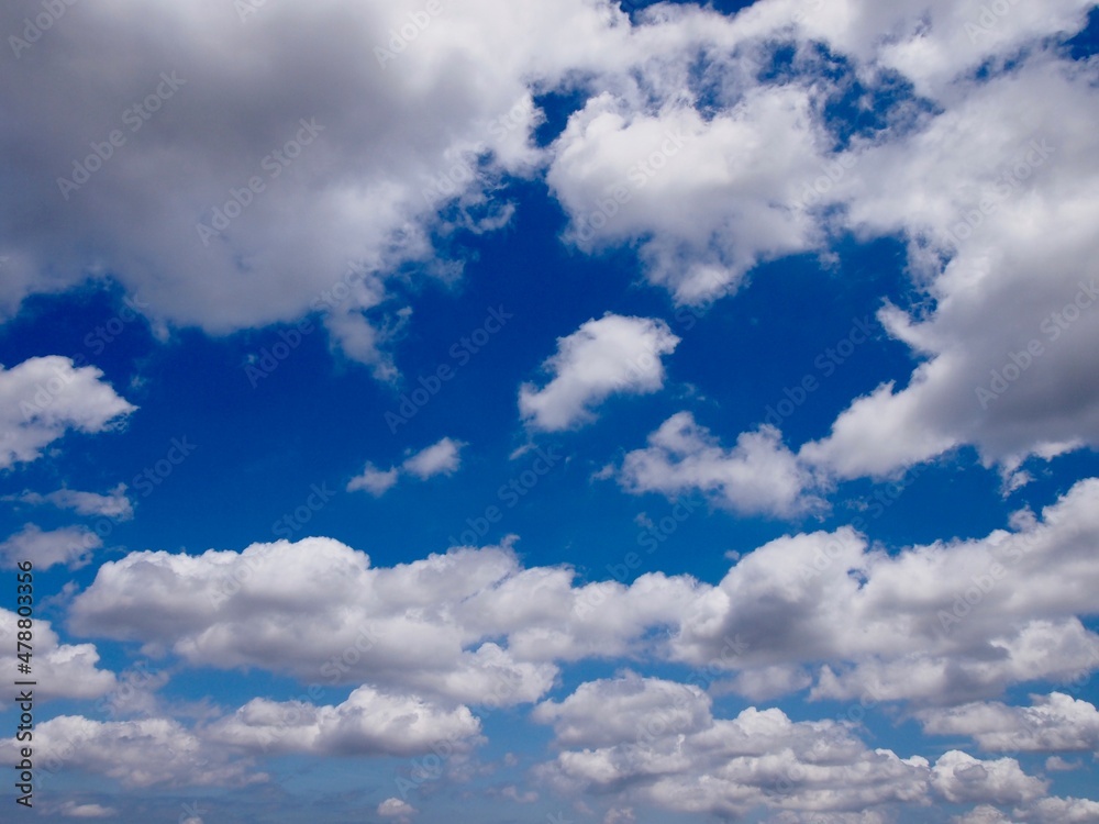 Obraz premium 雲と空の背景 夏空とわた雲の遠近感ある空間
