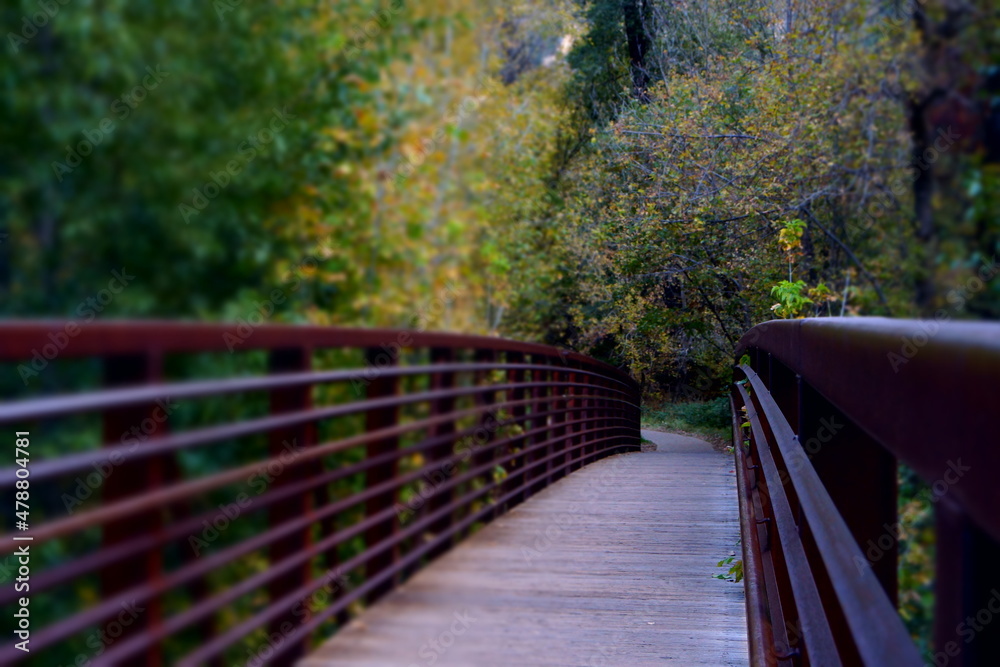 Bridge Path to Arizona's Autumn Bridge Path to Arizona's Autumn