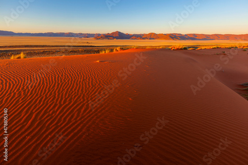 Red sand dune at sunset in Namib Desert