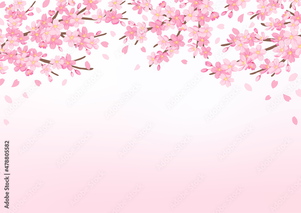 桜の花のイラスト 背景デザイン 桜の花のイラスト 背景デザイン