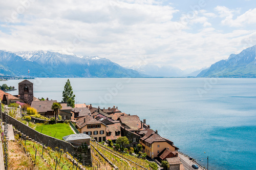 Saint-Saphorin,  Lavaux, Genfersee, Weinberge, Dorf, Winzerdorf, Kirche, See, Seeufer, Wanderweg, Weinberg-Terrassen, Weinbauer, Frühling, Waadt, Schweiz photo