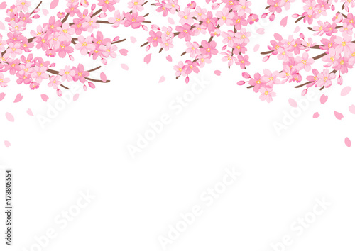 Obraz na płótnie 桜の花のイラスト 背景デザイン 白背景 w salonie