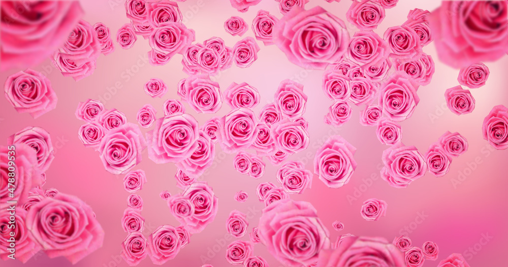 Pink and White Roses on Bright Background