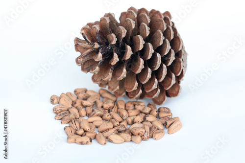 Heap of pine nuts and pine cone isolated on white background.