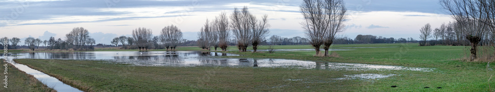 Flooded meadows. Oeverlanden Meppel Staphorst. Netherlands. Flooding. Willow trees.Panorama.