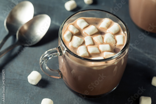 Warm Chocolate Hot Cocoa with Marshmallows