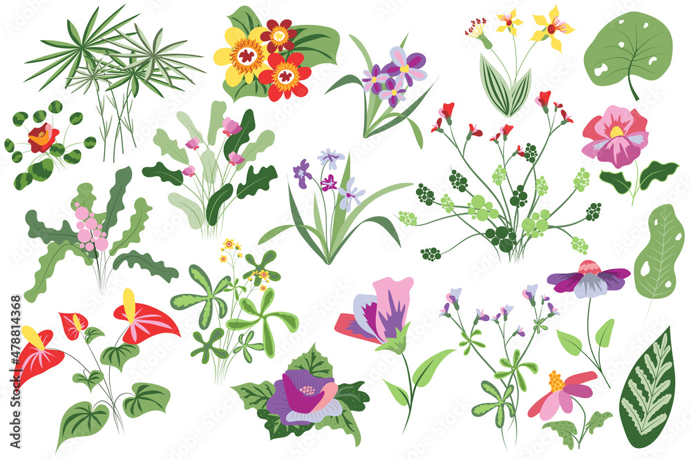 Flower and plants isolated set. Flowering and blooming wildflowers, greenery, wild foliage and other. Summer botanical decor. Bundle of floral elements. Illustration in hand drawn design Flower and plants isolated set. Flowering and blooming wildflowers, greenery, wild foliage and other. Summer botanical decor. Bundle of floral elements. Illustration in hand drawn design