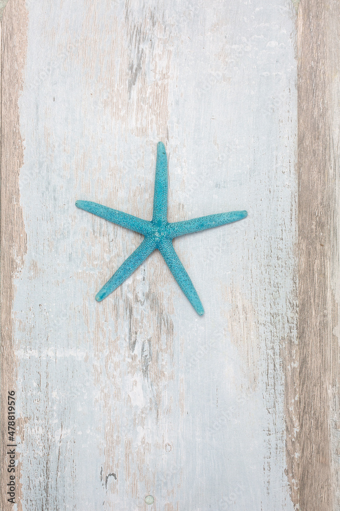 Turquoise Decorative Starfish On Driftwood Turquoise Decorative Starfish On Driftwood