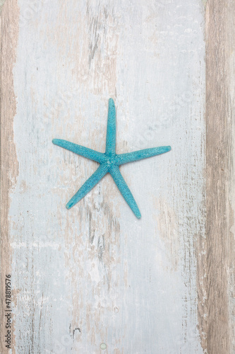 Turquoise Decorative Starfish On Driftwood