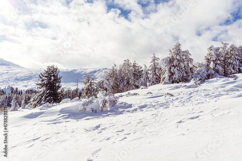 Beautiful Winter Snowy Mountain Landscape from Bulgaria ,Vitosha Mountain