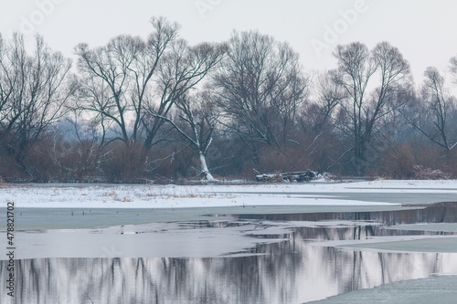 Winter at Warta river in Warta Landscape Park, Poland. © Tomasz Wozniak