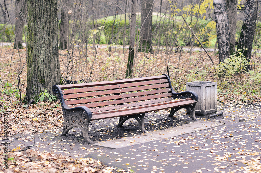 calm autumn park with fallen leaves and a bench