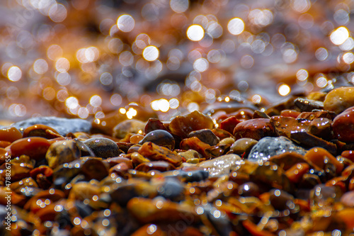 Sparkling Shoreline