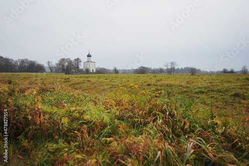 Church of the Intercession on the Nerl in Bogolyubovo