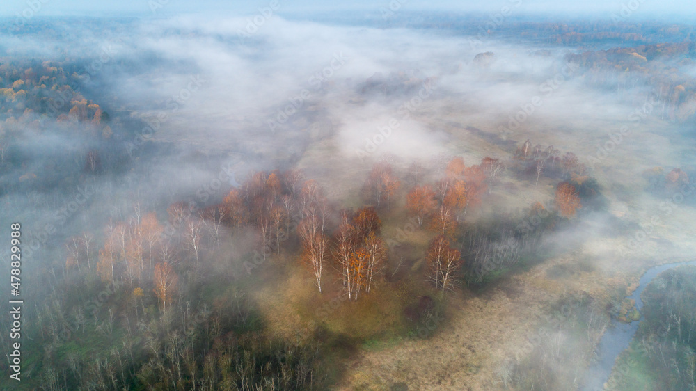 Autumn dawn over foggy forest and river aerial drone view Autumn dawn over foggy forest and river aerial drone view